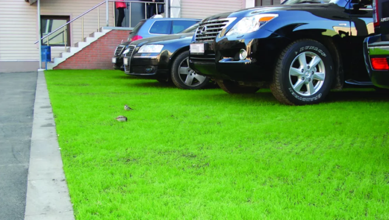 Фото: tarantas.news