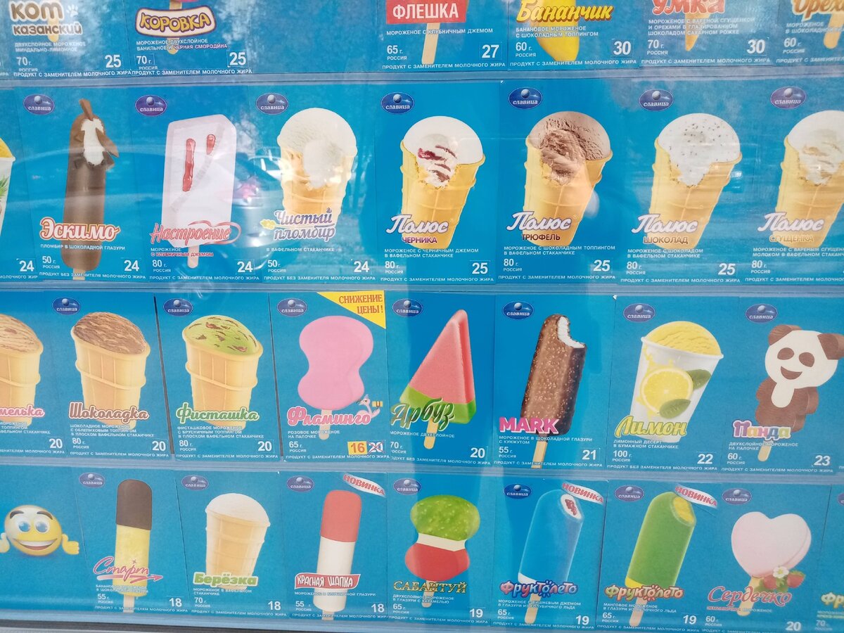 Славица мороженое франшиза