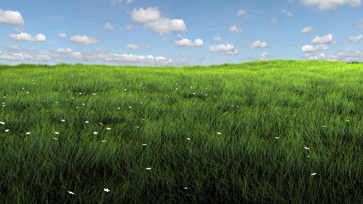 Молодая трава. Трава. Ой ты травушка зелёная. Травушка зеленая. Зеленая природа.