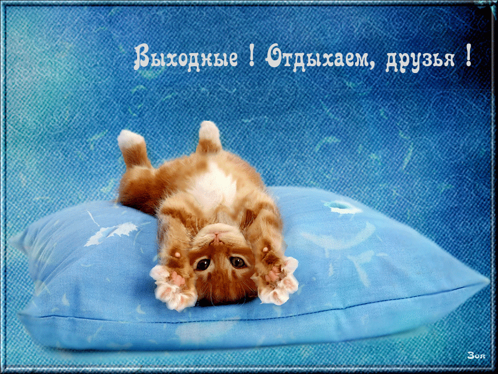 lifeo.ru