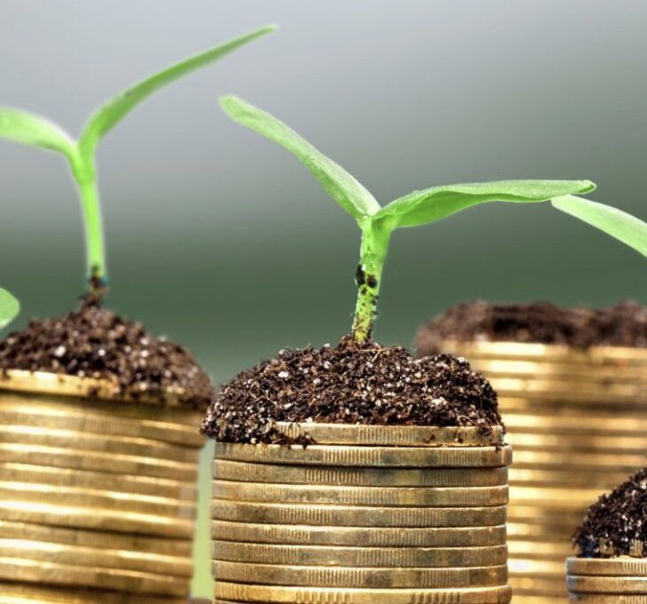 инвестиции.