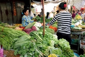 Siem Reap Essential City Tour 1 Day
