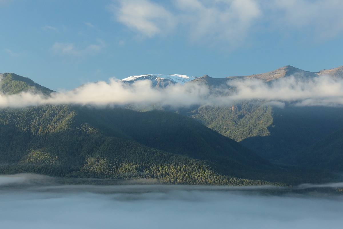 Вид с горы Байда. в сторону Белухи. 