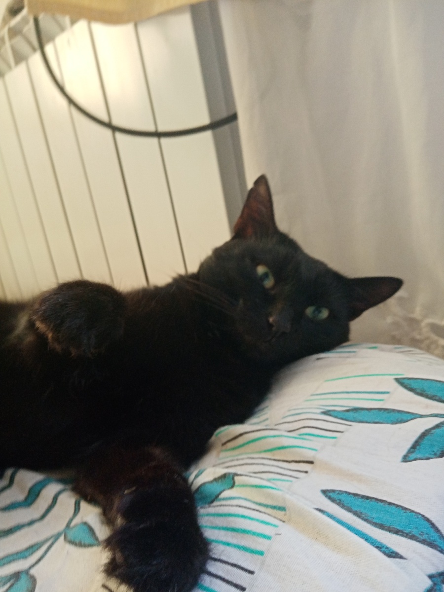 Арр это мой дом