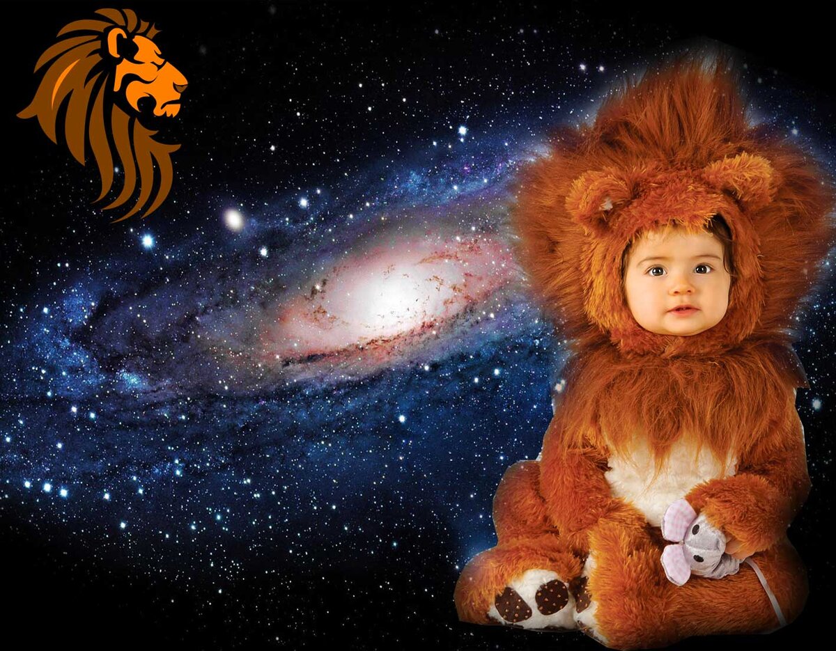 яндекс.картинки
