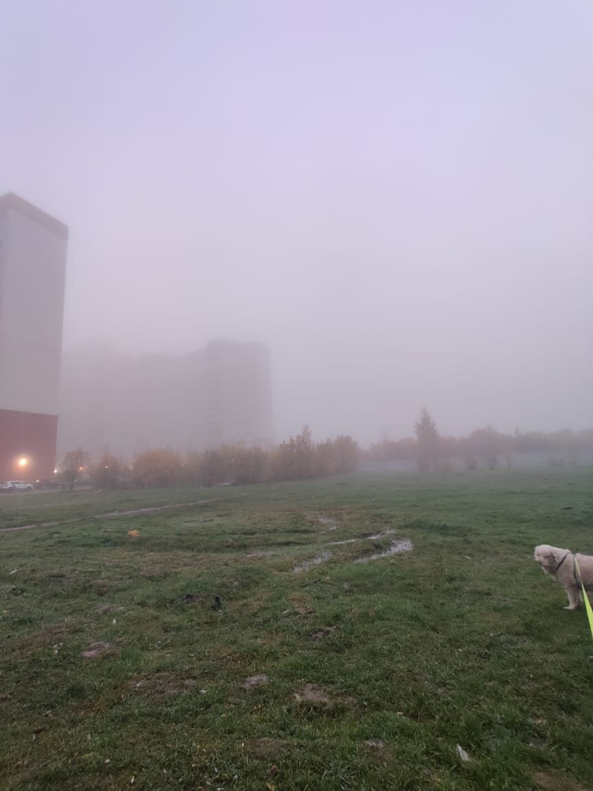 А в Питере туман - вырвиглаз