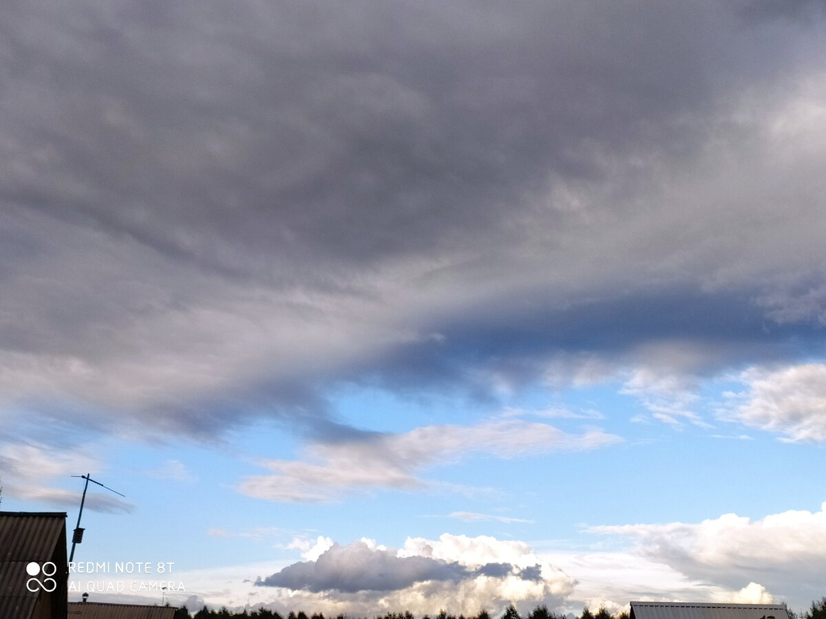 Летом на даче. 