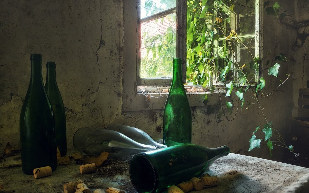 Фото: https://get.wallhere.com/photo/window-bottles-room-ruin-plants-green-screenshot-40191.jpg