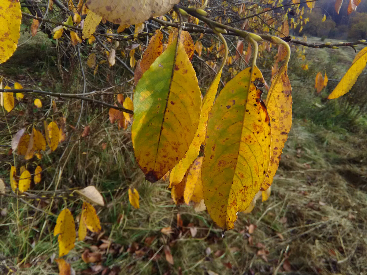 Фото из личного архива.