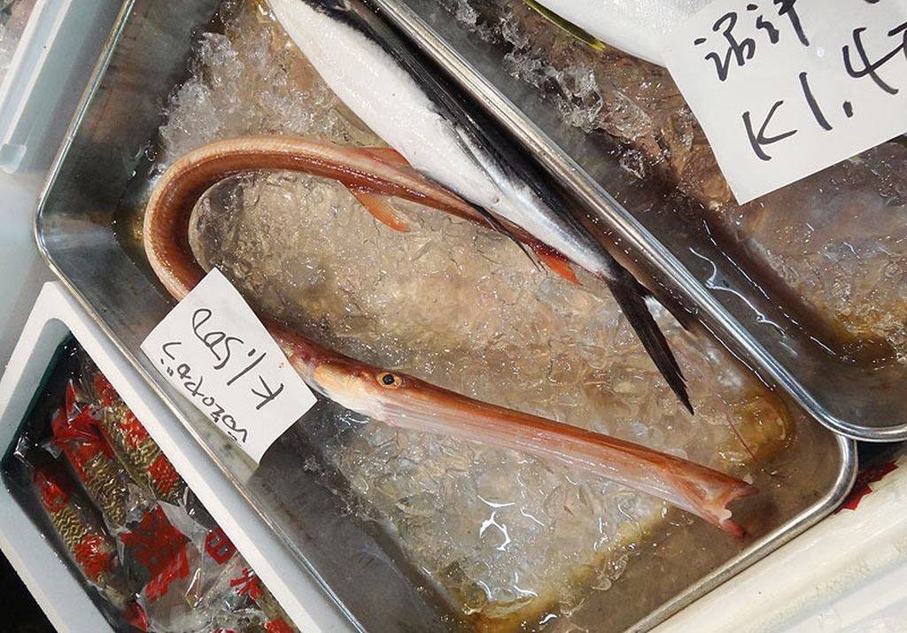 Гладкая свистулька: Смешной морской пылесос, тело которого на 1/3 состоит из рта5