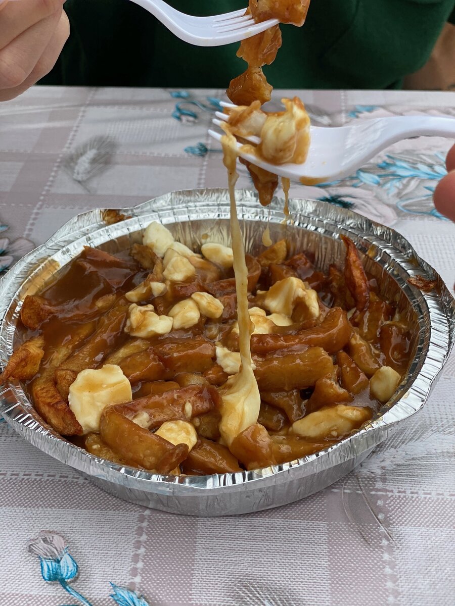 Poutine - канадское блюдо из картошки фри, мясной подливки и молодого соленого сыра. Фото автора
