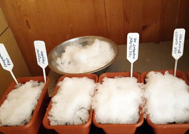  ФОто: pinterest.ru