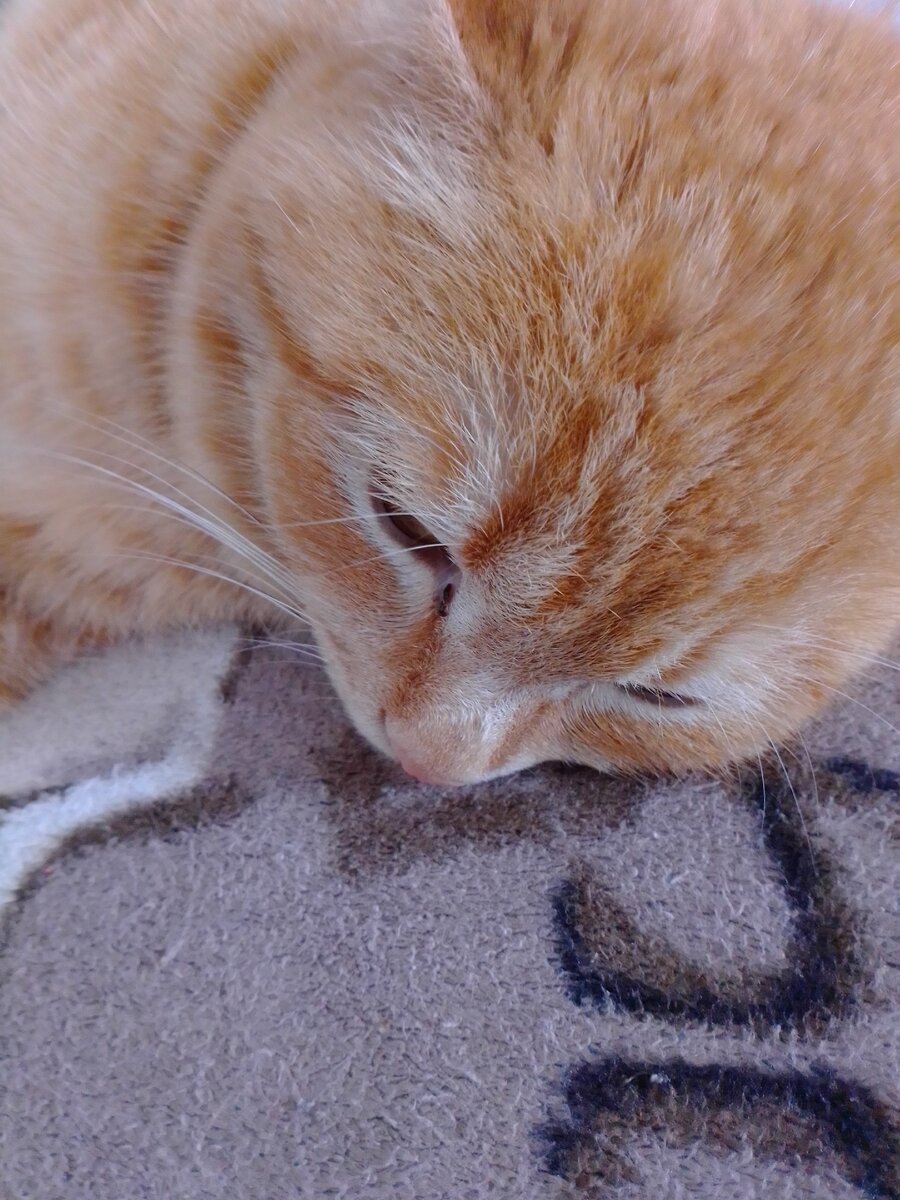 Переосмысление