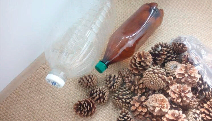 Мастер класс: ежик из шишек и пластиковой бутылки