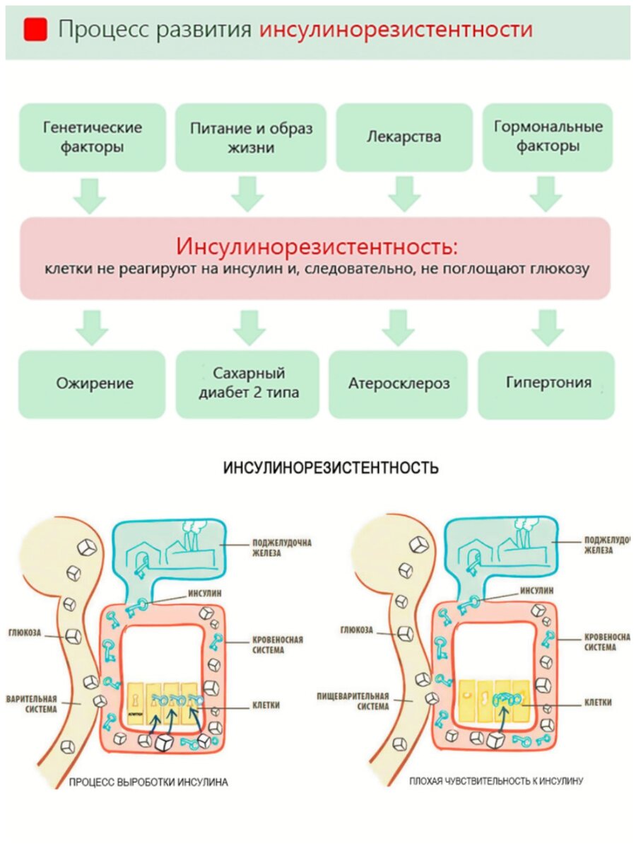 Инсулиновый индекс продуктов питания: таблица от низкого до высокого Диета для н