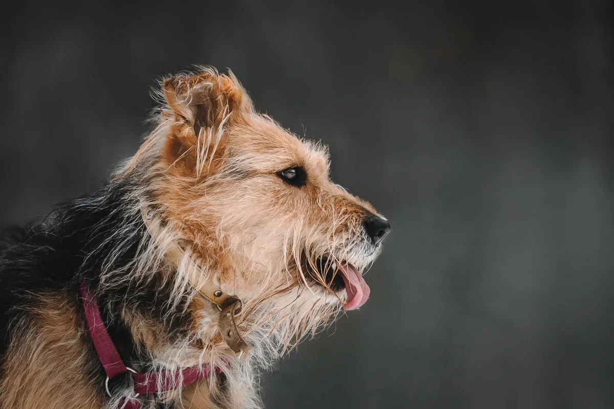 Фото для обложки нового альбома рок-группы