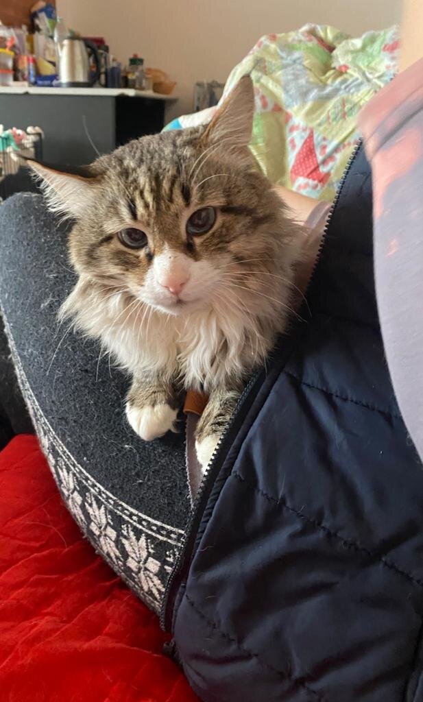 Самый главный виновник и зачинщик написания этой статьи - Маркиз собственной персоной)