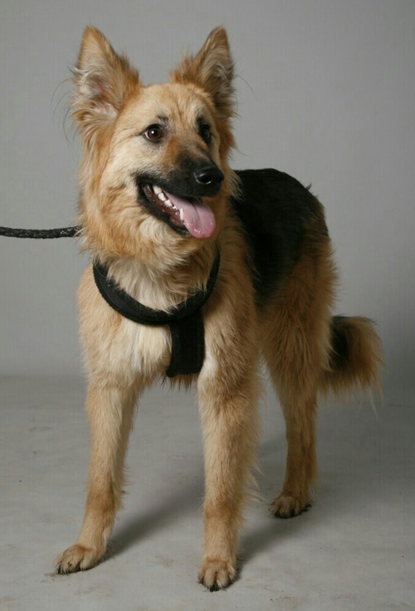 Пиарная фотосессия Тины. Она стеснялась.