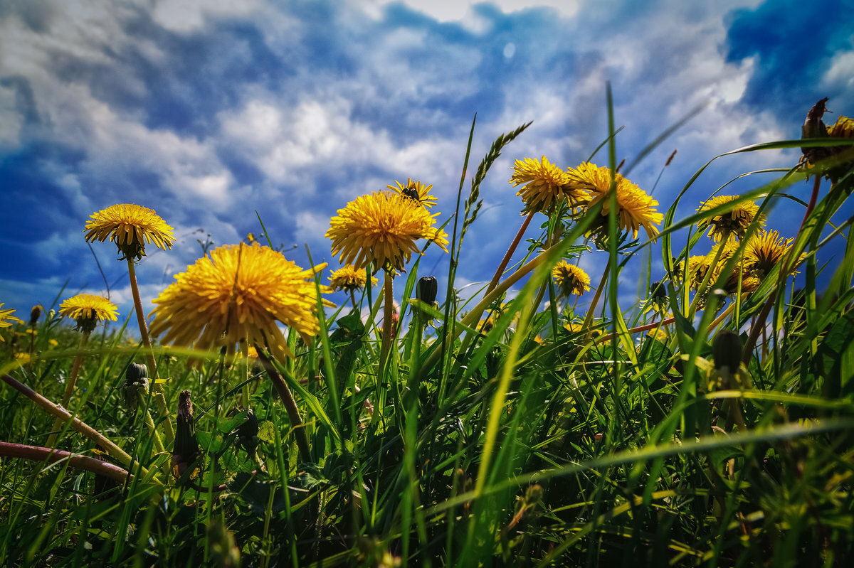 Фото из открытых источников