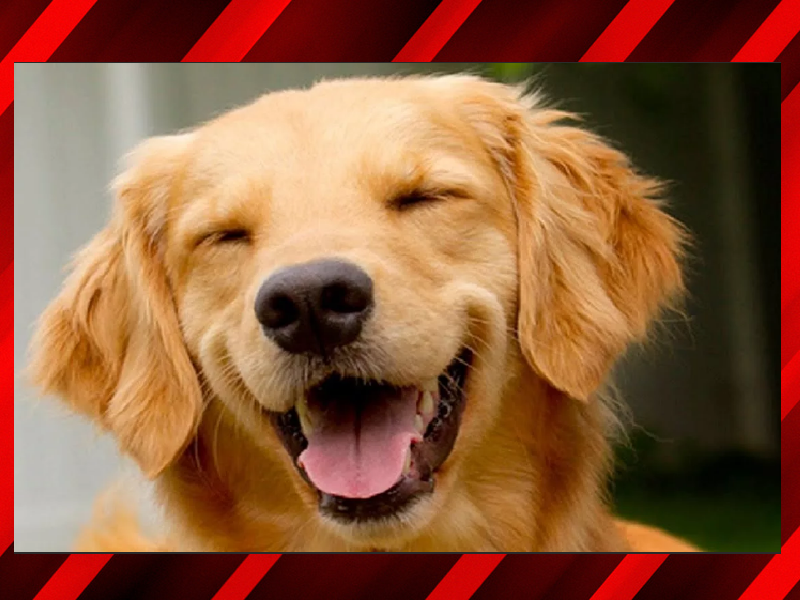 Фото из архива Ютуб