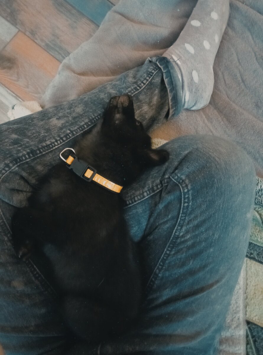 еще совсем малышок-кабачок...