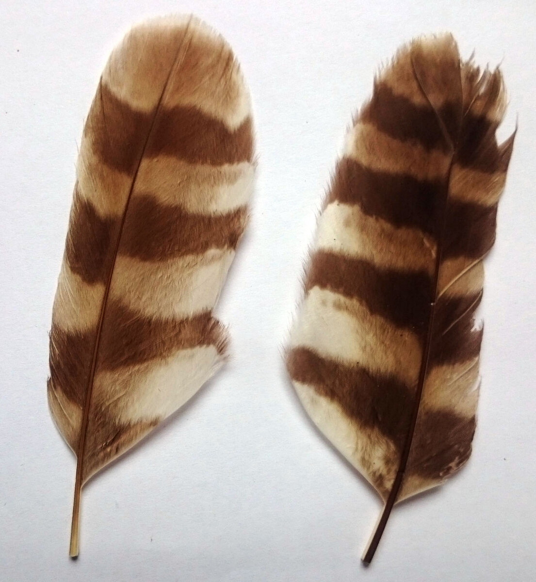 Остатки былой роскоши...