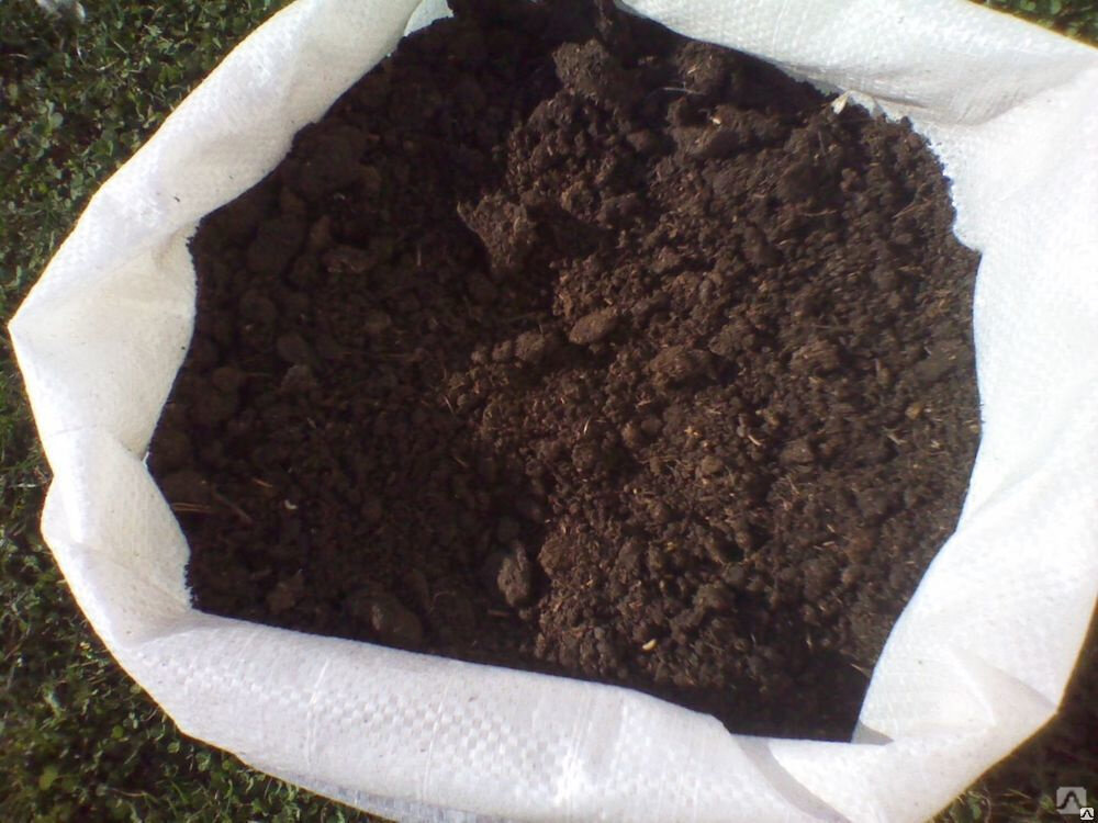 Перегнивший навоз скота так же называют просто перегноем