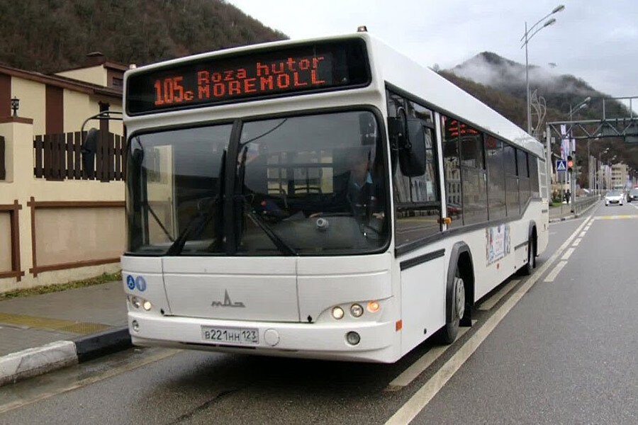 фото из интернет-источников 