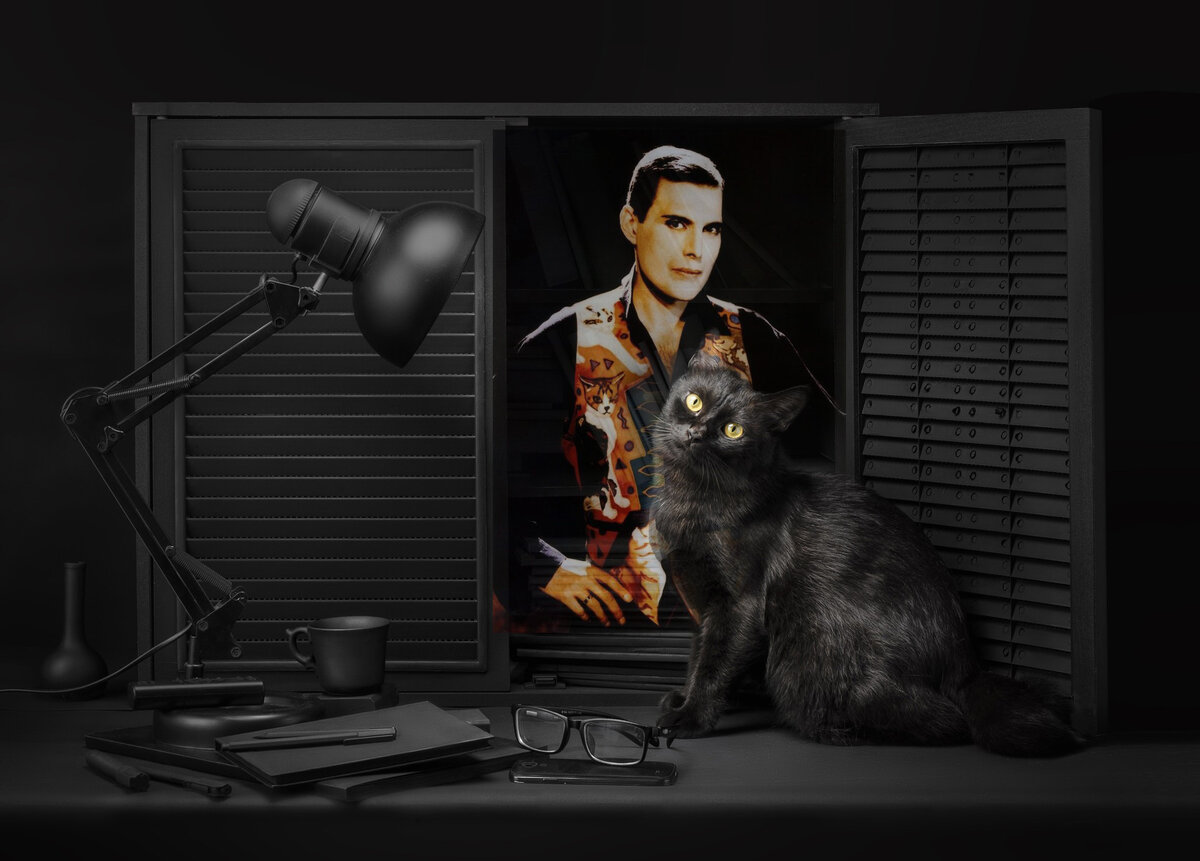 Последнее портретное фото Фредди сделал в любимом кошачьем жилете.