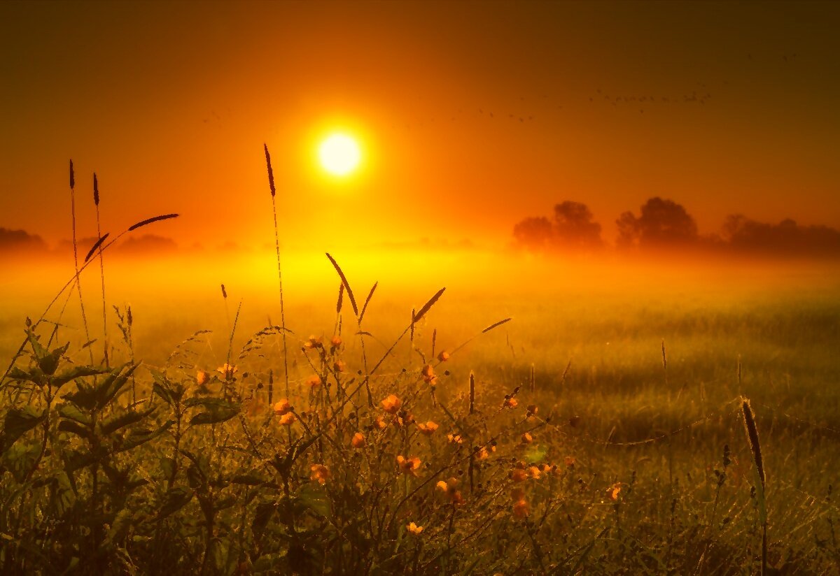 Фото из открытых источников.