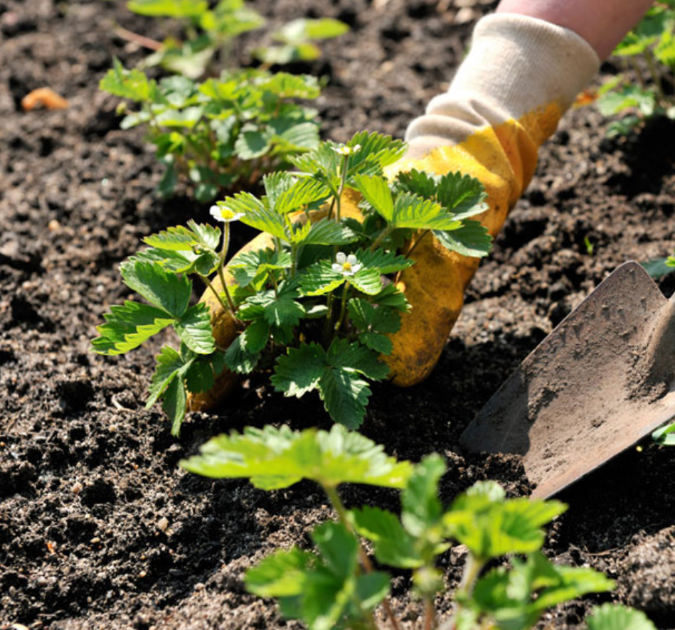 Добавьте описание