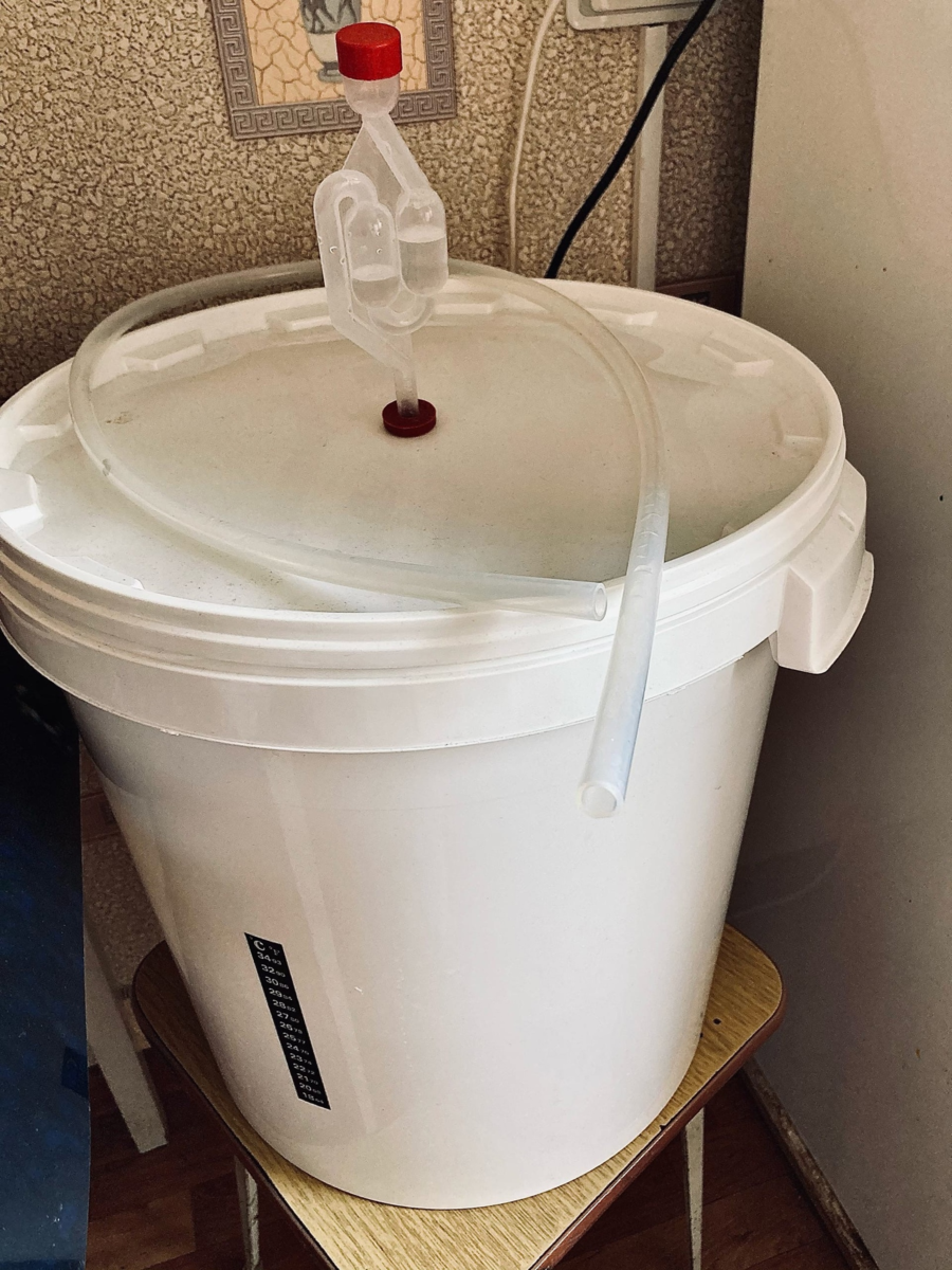 Моя бродильная емкость