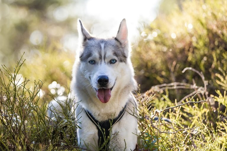 📌Все права на представленные в статье фотографии, принадлежит только их владельцам. Все фотографии взяты из открытых источников📌.