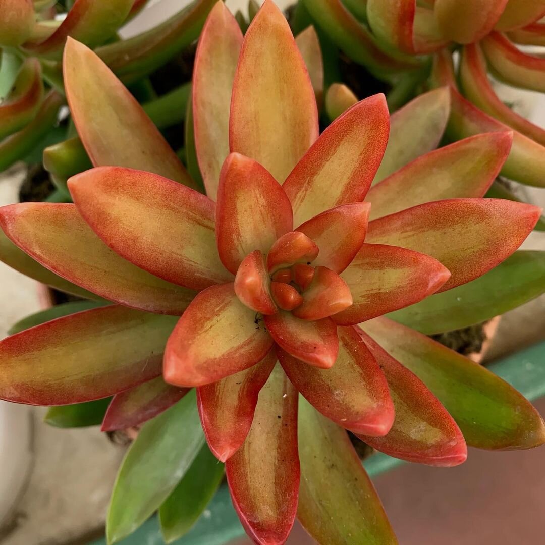 @ juanjo_trujillocampos