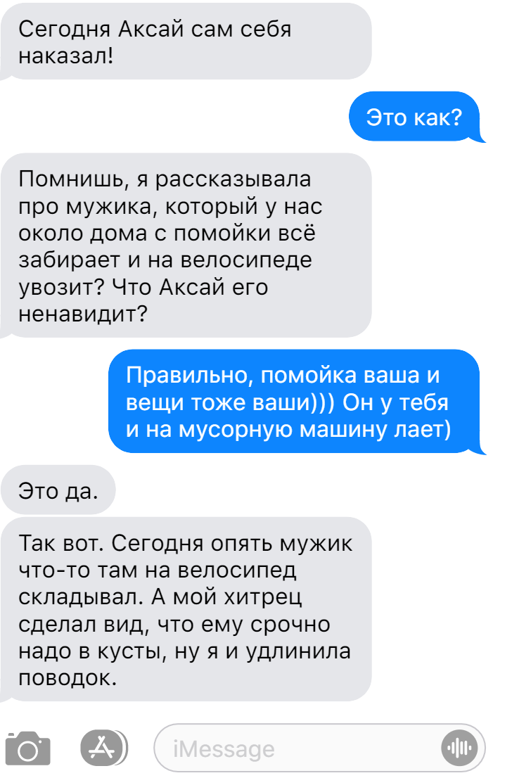 Записки ветеринара. Чем можно напугать большую собаку, смешные переписки |  СобачьЯ жизнь | Дзен