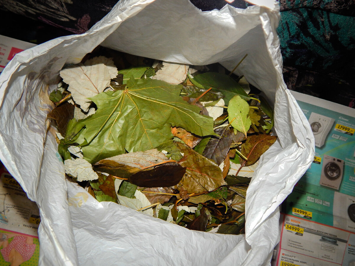 Подготовка  в морозильную камеру. Фото автора .