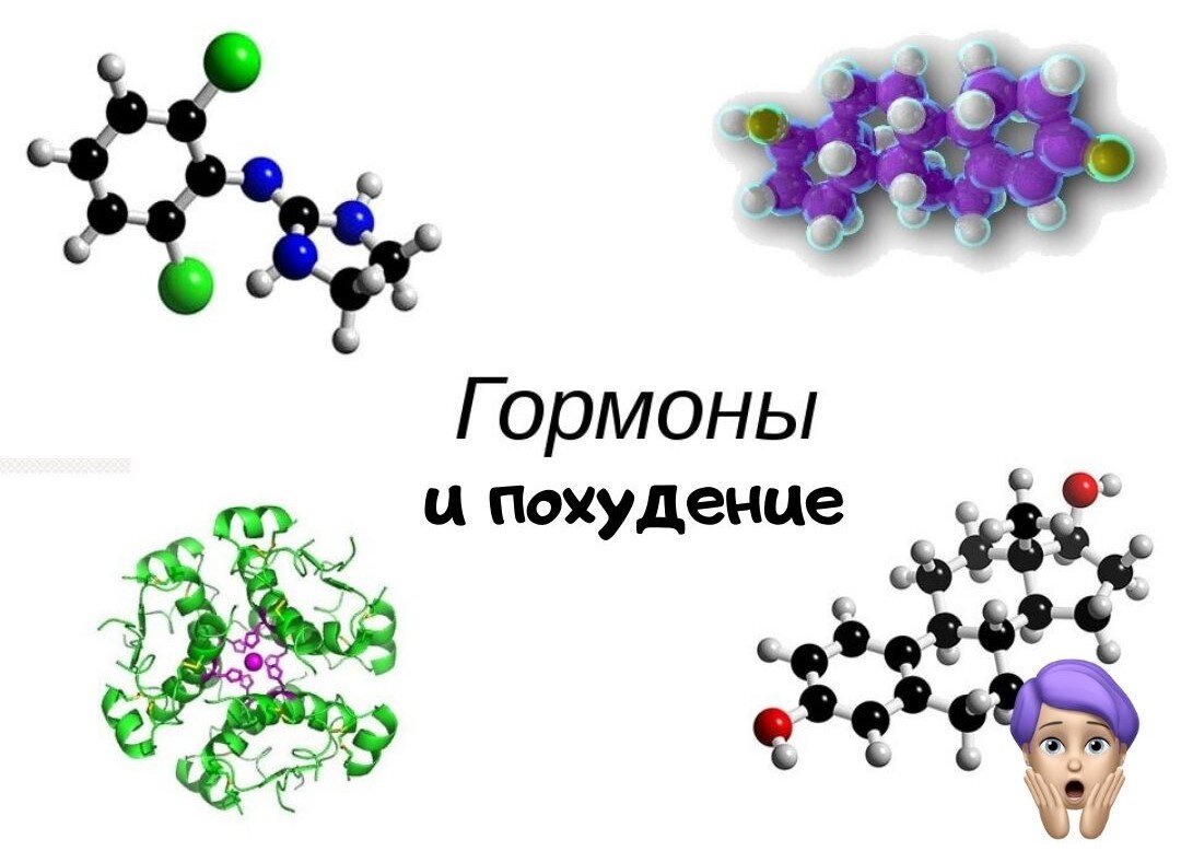 Гормоны на сбрасывание лишнего веса очень влияют, но многие об этом даже не задумываются