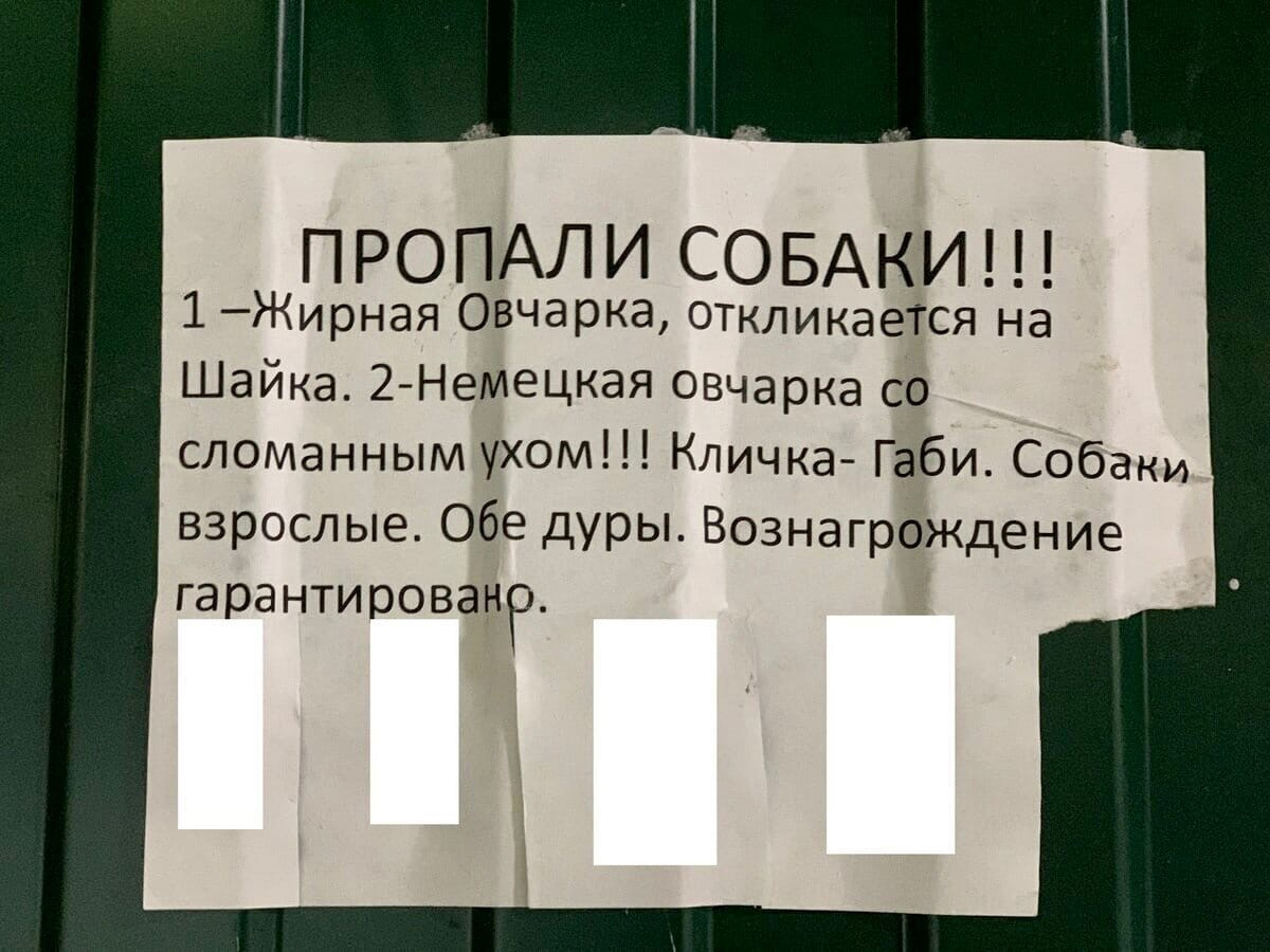 Объявления прикольные картинки