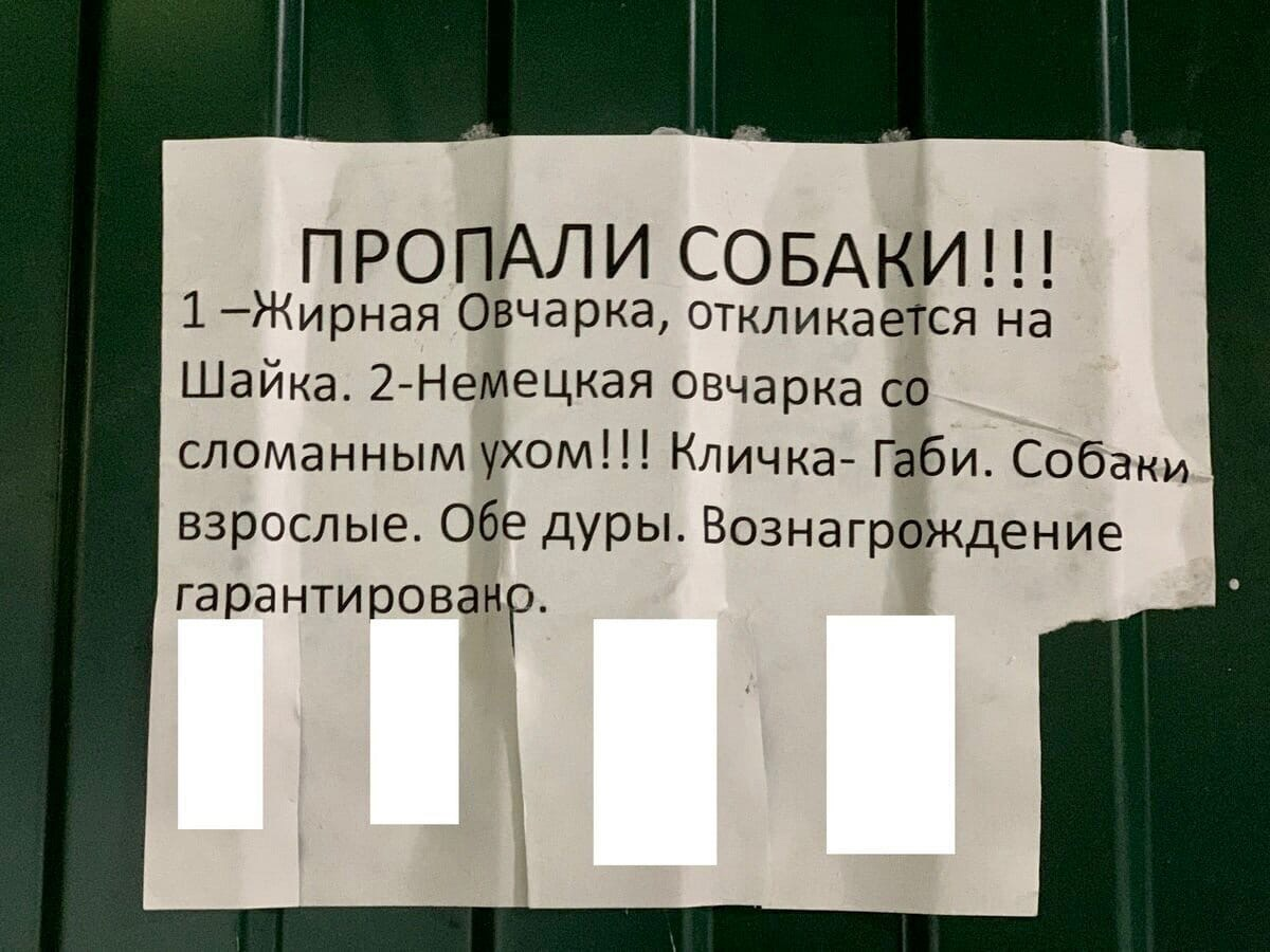 Следующее объявление. Смешные объявления. Объявления приколы. Шуточные объявления. Самые прикольные объявления.