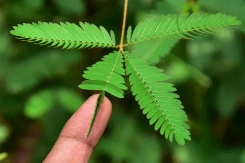 Нарушение личного пространства выглядит так