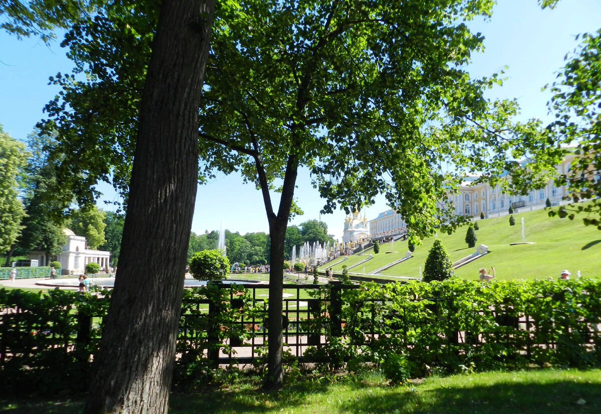 Большой дворец и площадь с фонтанами. Слева видна Воронихинская колоннада.