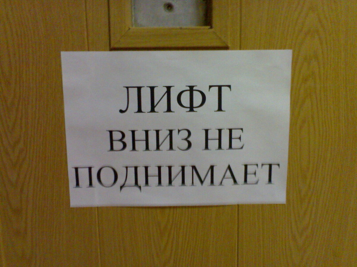 Колюня вернулся, или лифт вниз не поднимает | Авторский канал Вета Драган |  Дзен