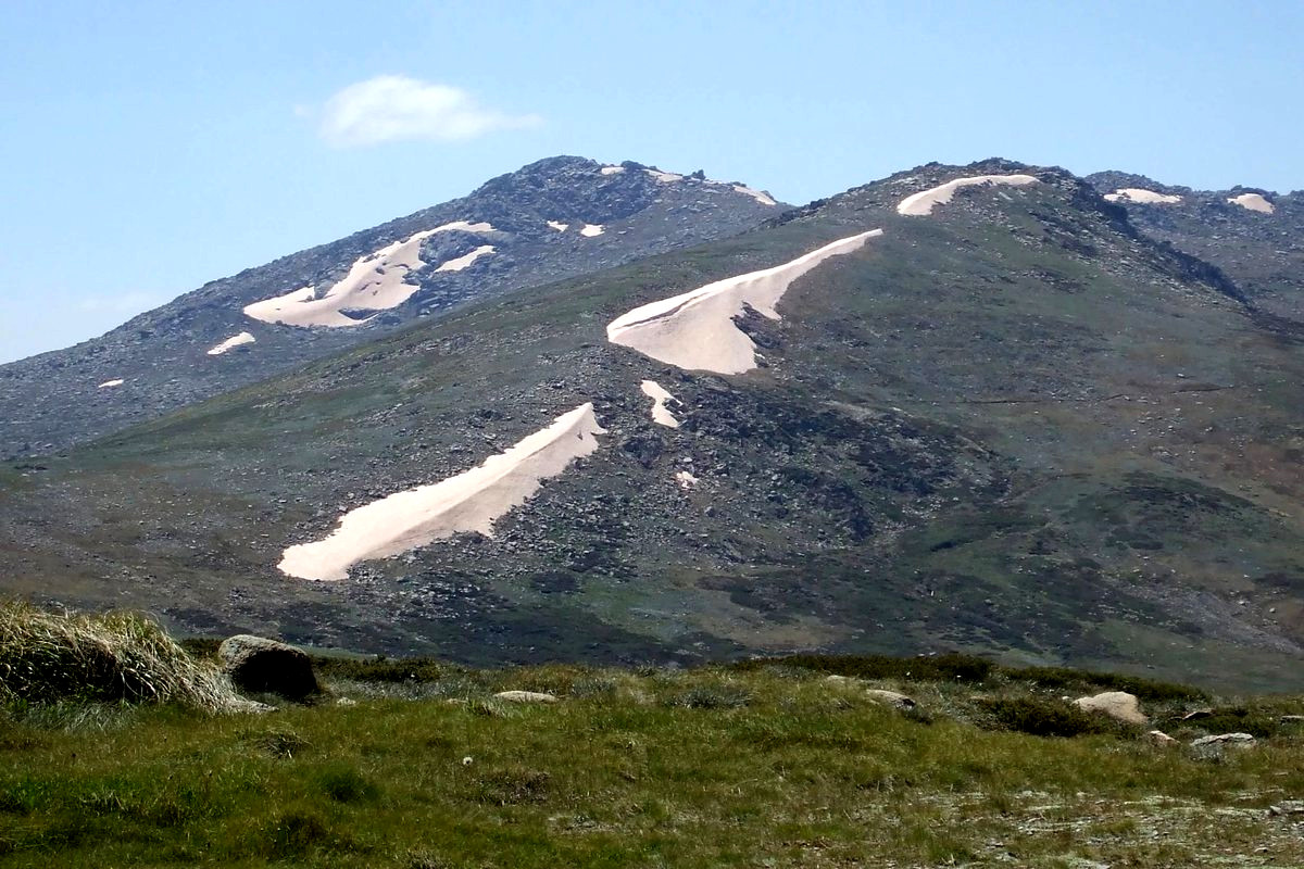 Фото из открытых источников. Гора Косцюшко