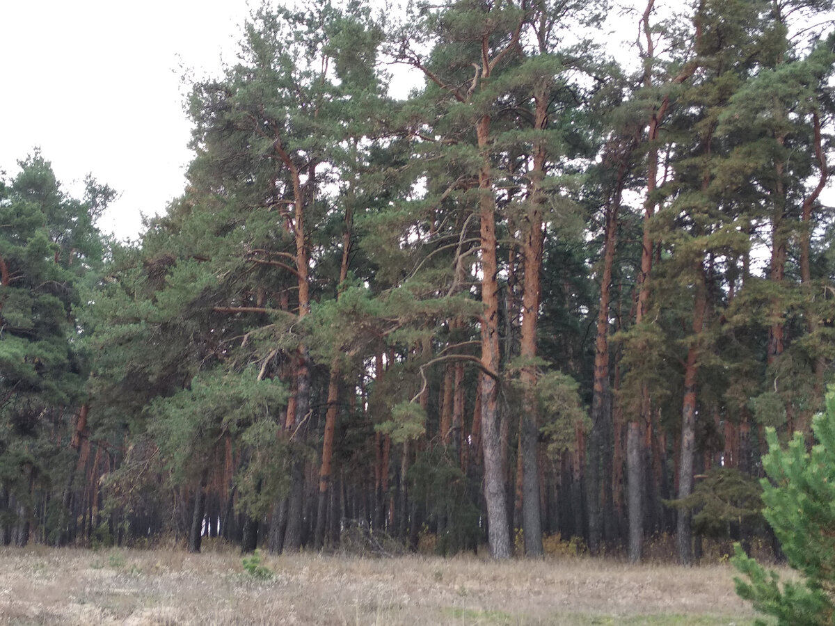 Фото автора Подписывайтесь