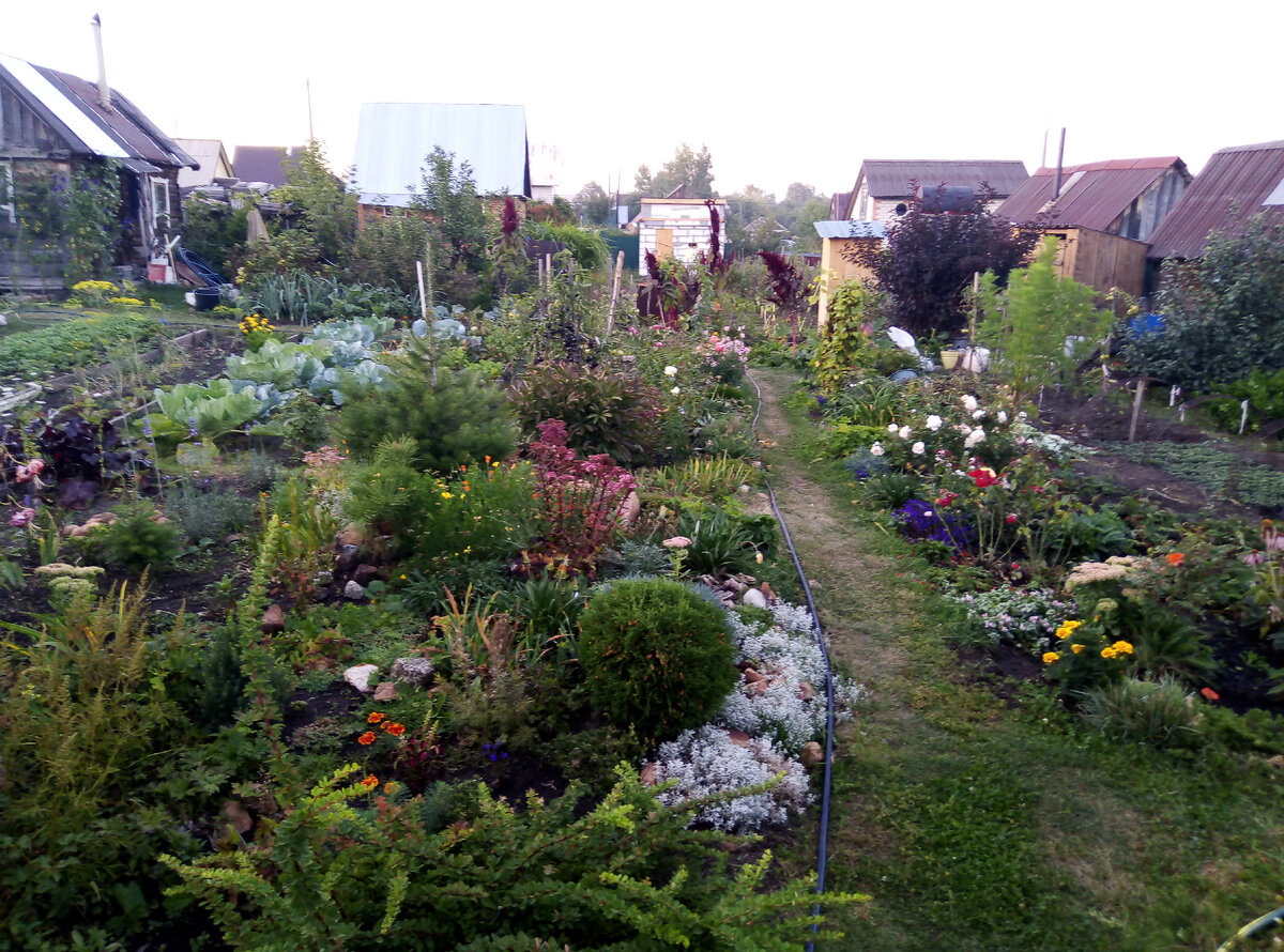 Мой любимый сад 5 соток