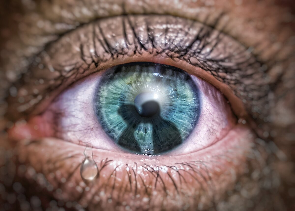 Фото с pixabay.com