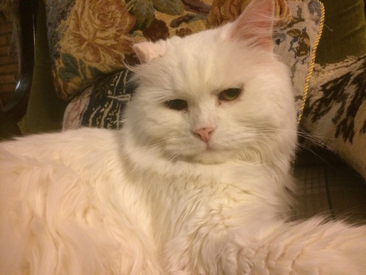 Юлий, март 2020 г. фото автора