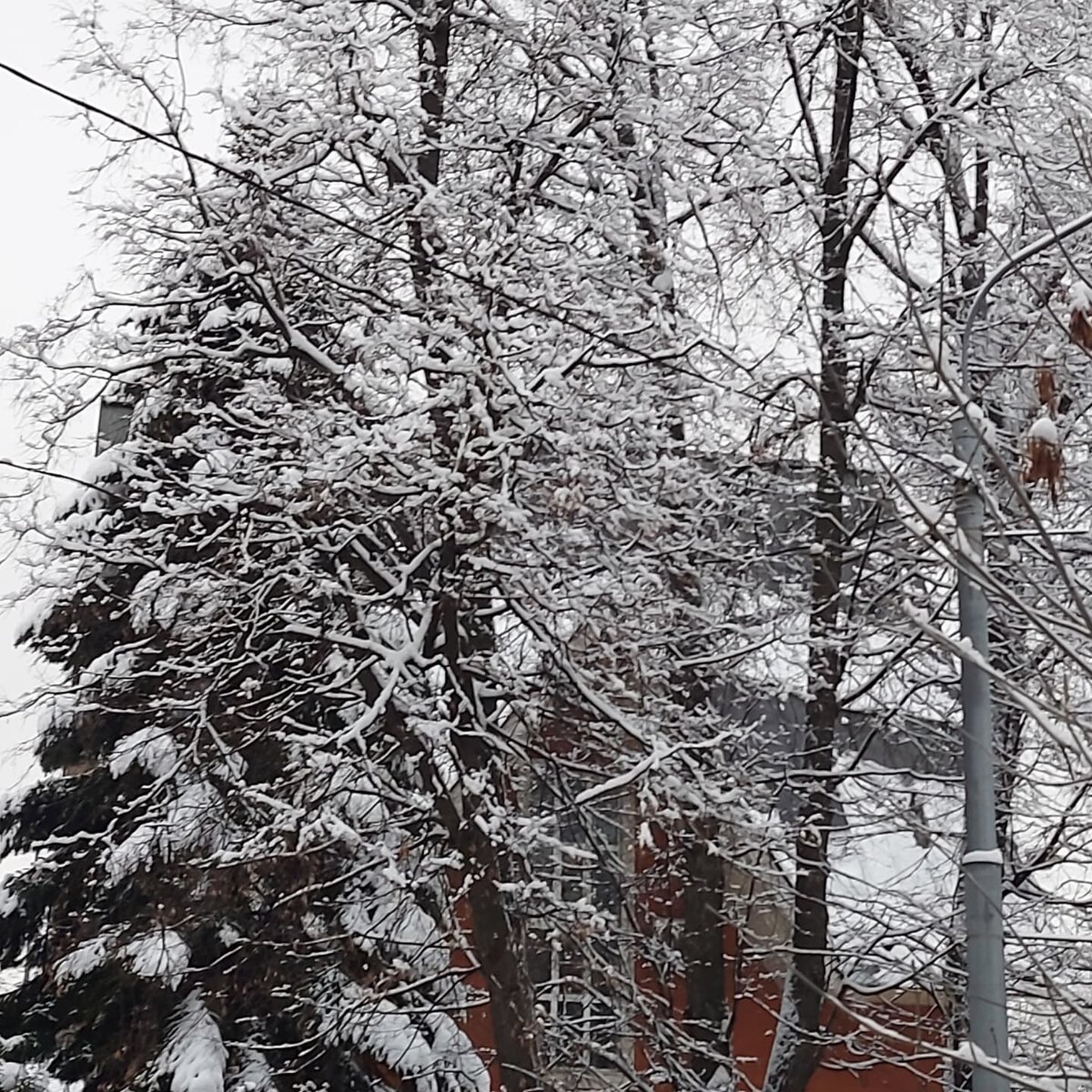 Хотела поставить свою фотку для заставки, но передумала((( Привет, паранойя?