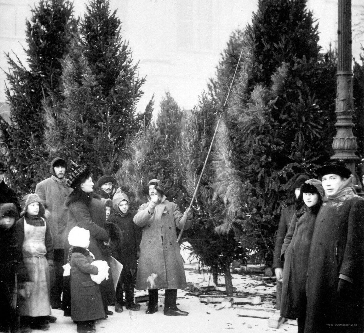 Елочный базар в саду Аничкова дворца, декабрь 1913 года Фото Карла Буллы