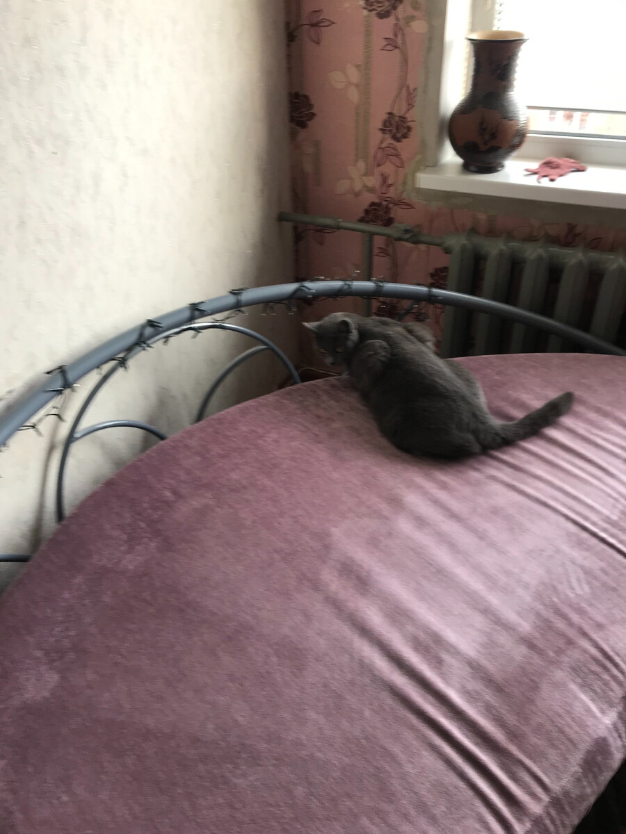 Куда пыль дела?